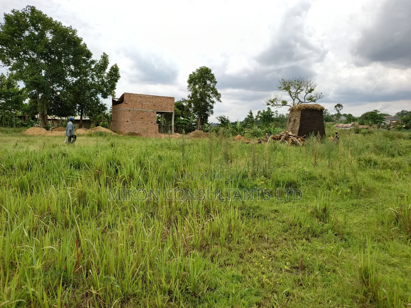 50 by 50 FTS Plot on Sale in Matuga Sanga, Ssemuto Road. in Central Division
