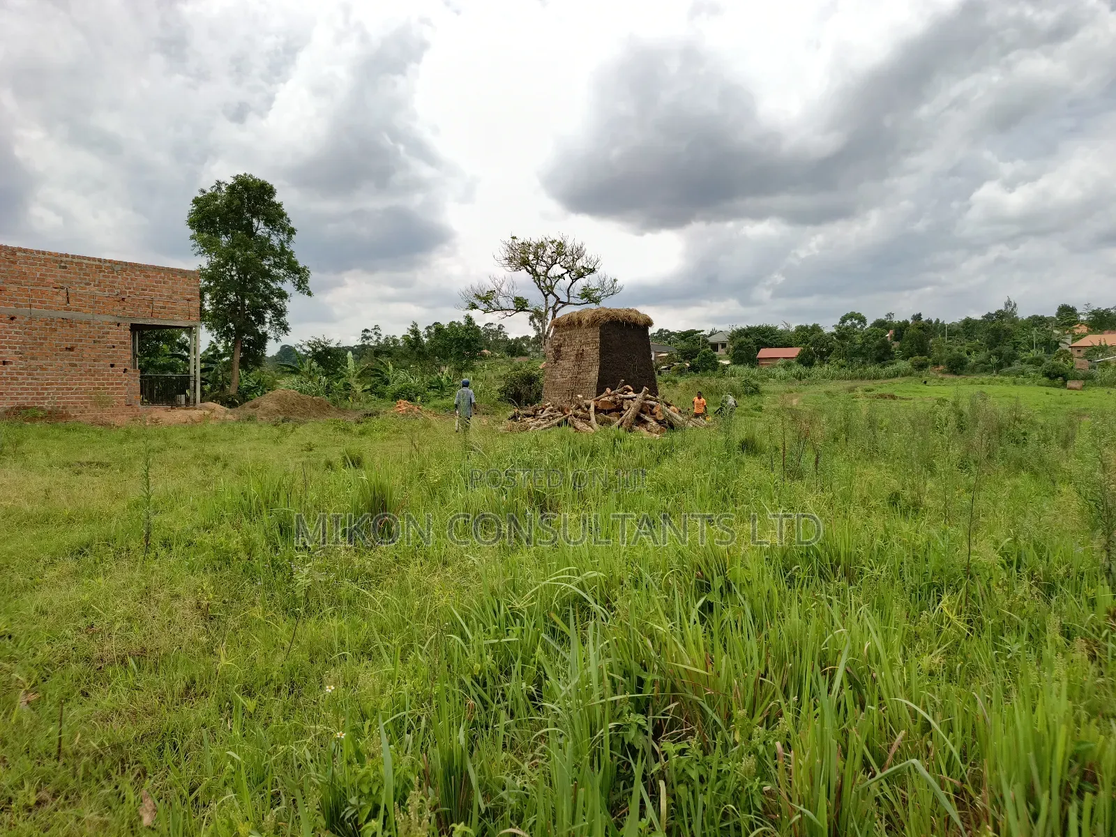 50 by 50 FTS Plot on Sale in Matuga Sanga, Ssemuto Road. in Central Division