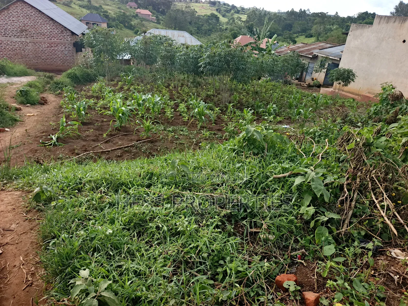 Commercial Plot on Sale in Kyenjojo