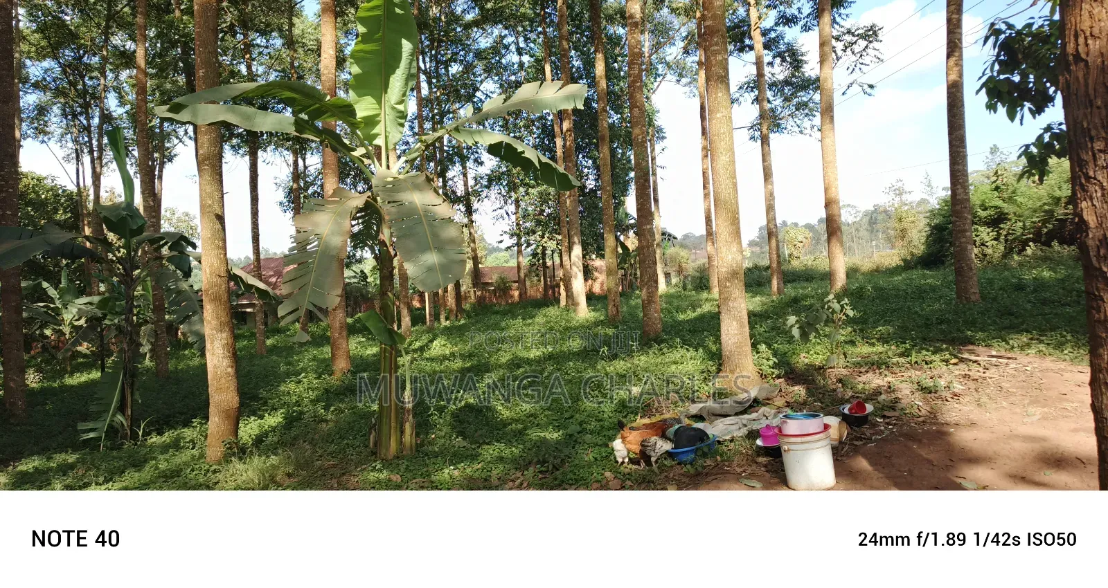 8acres of Land on Sale in Nangabo in Nangabo