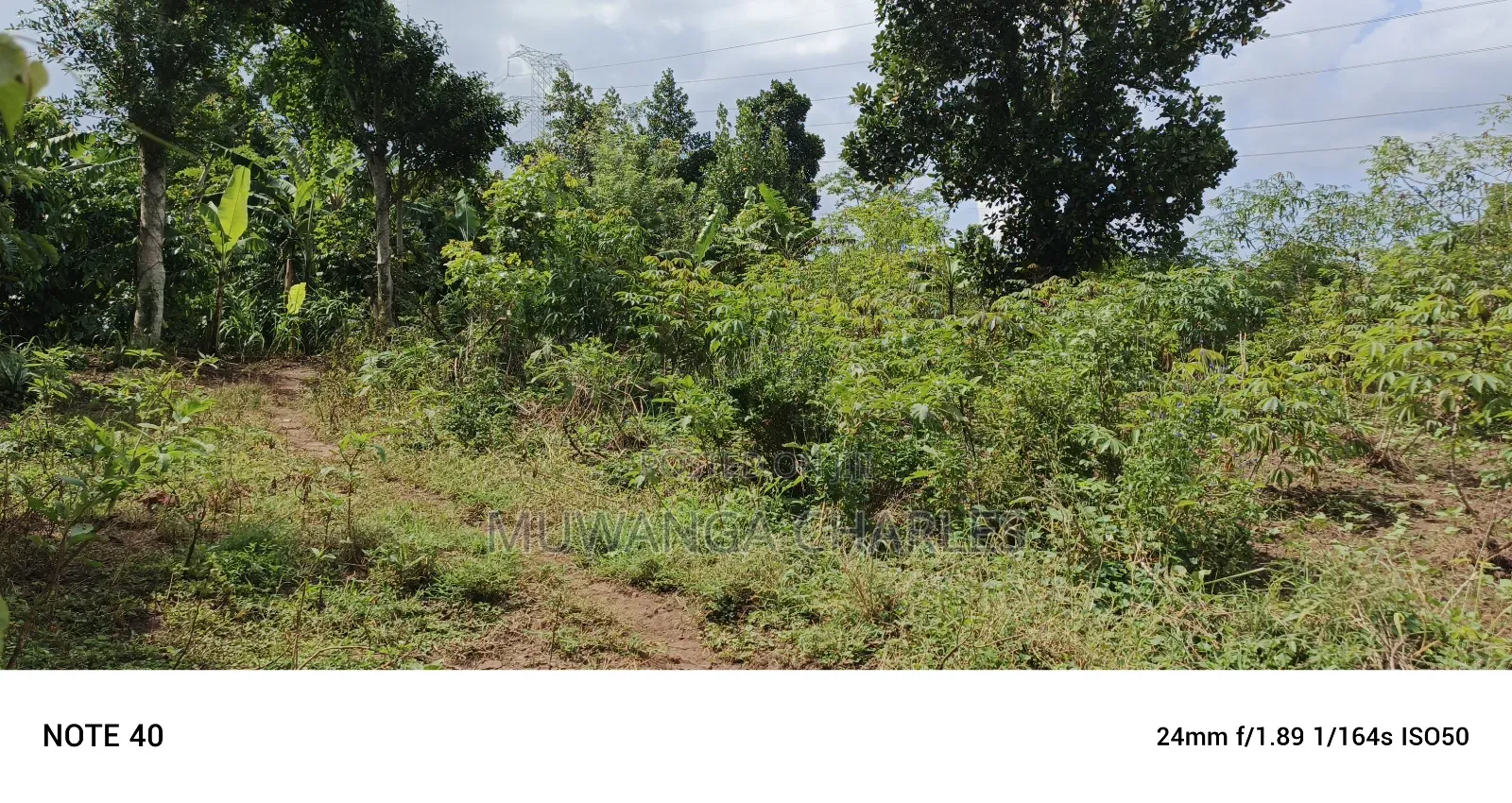 5acres of Land on Sale in Bombo Kalule in Luwero / Luwero
