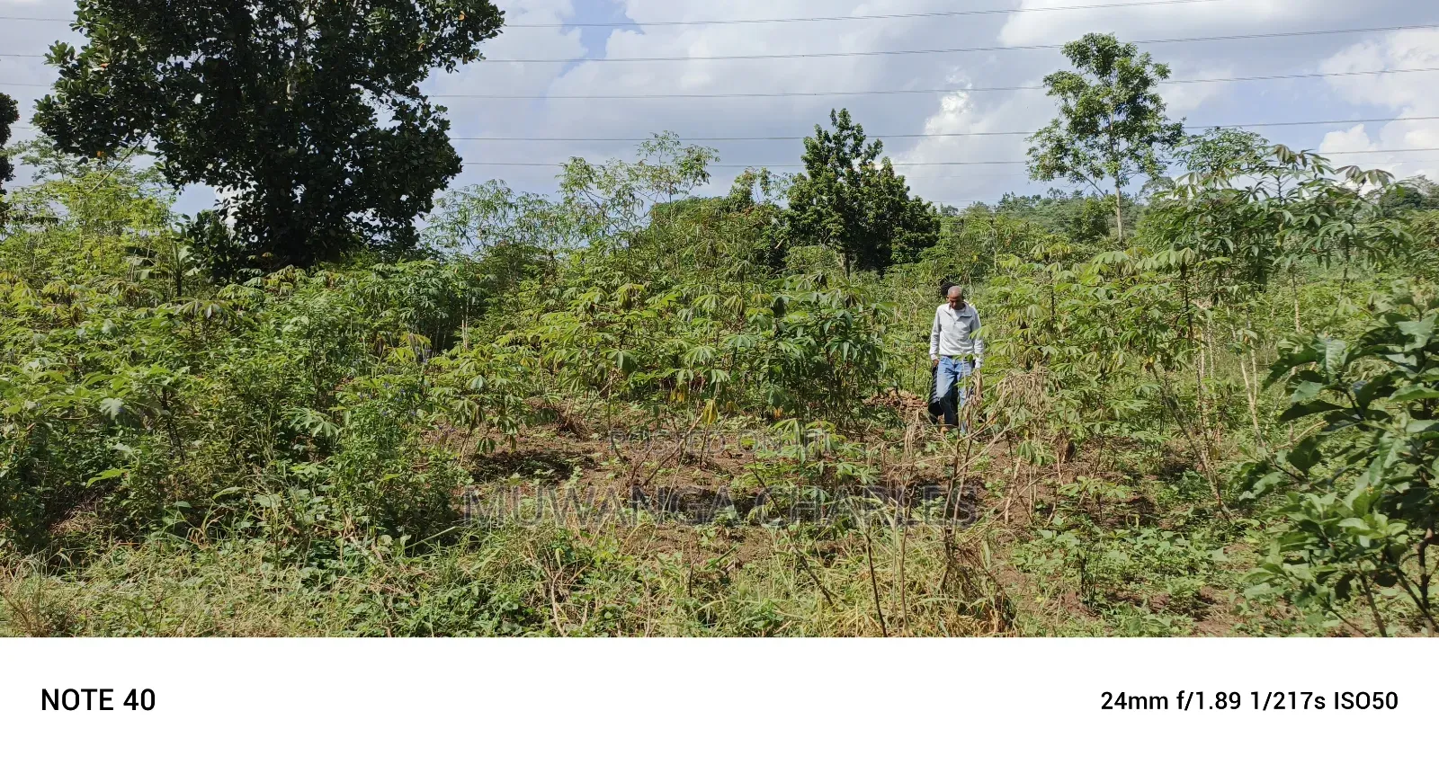 5acres of Land on Sale in Bombo Kalule in Luwero / Luwero