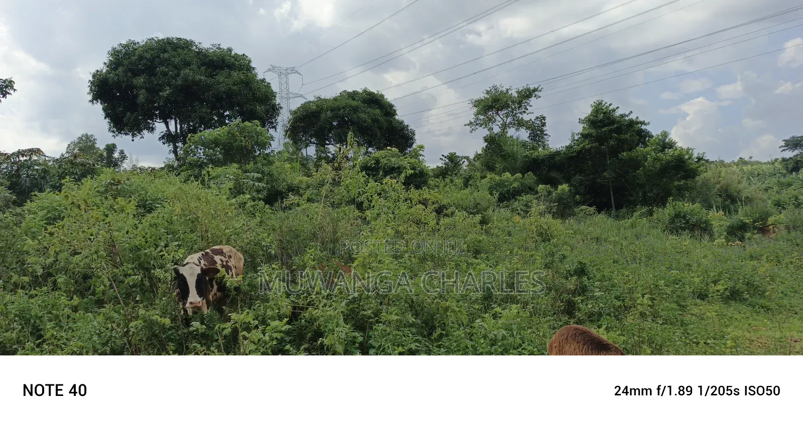 5acres of Land on Sale in Bombo Kalule in Luwero / Luwero