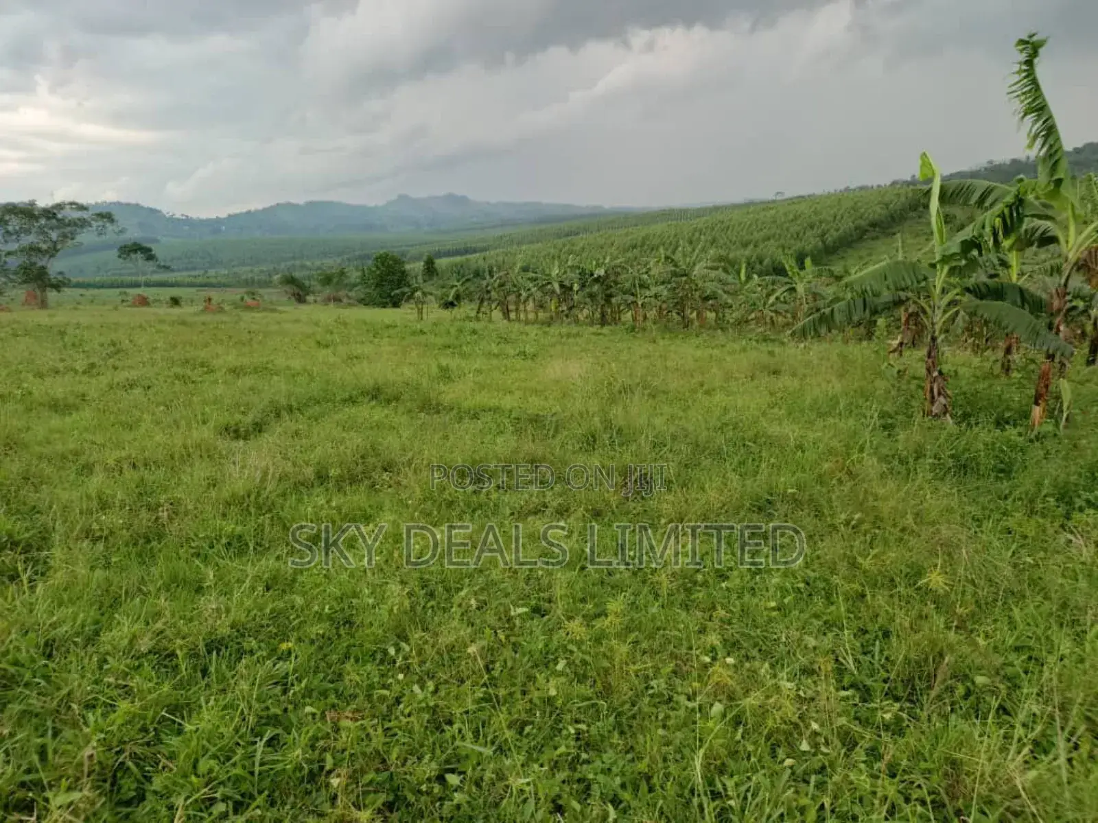 100by50ft Plot for Rent in Gayaza in Nakawa
