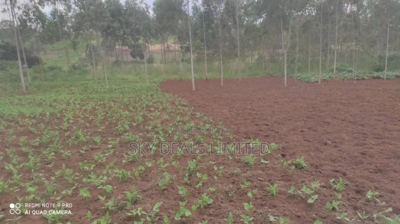 100by50ft Plot for Rent in Gayaza in Nakawa