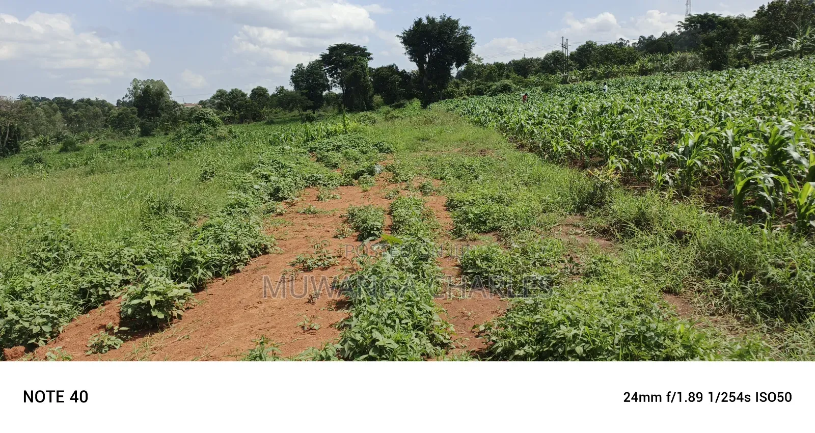 4acres of Land on Sale in Bombo Kalule in Luwero / Luwero