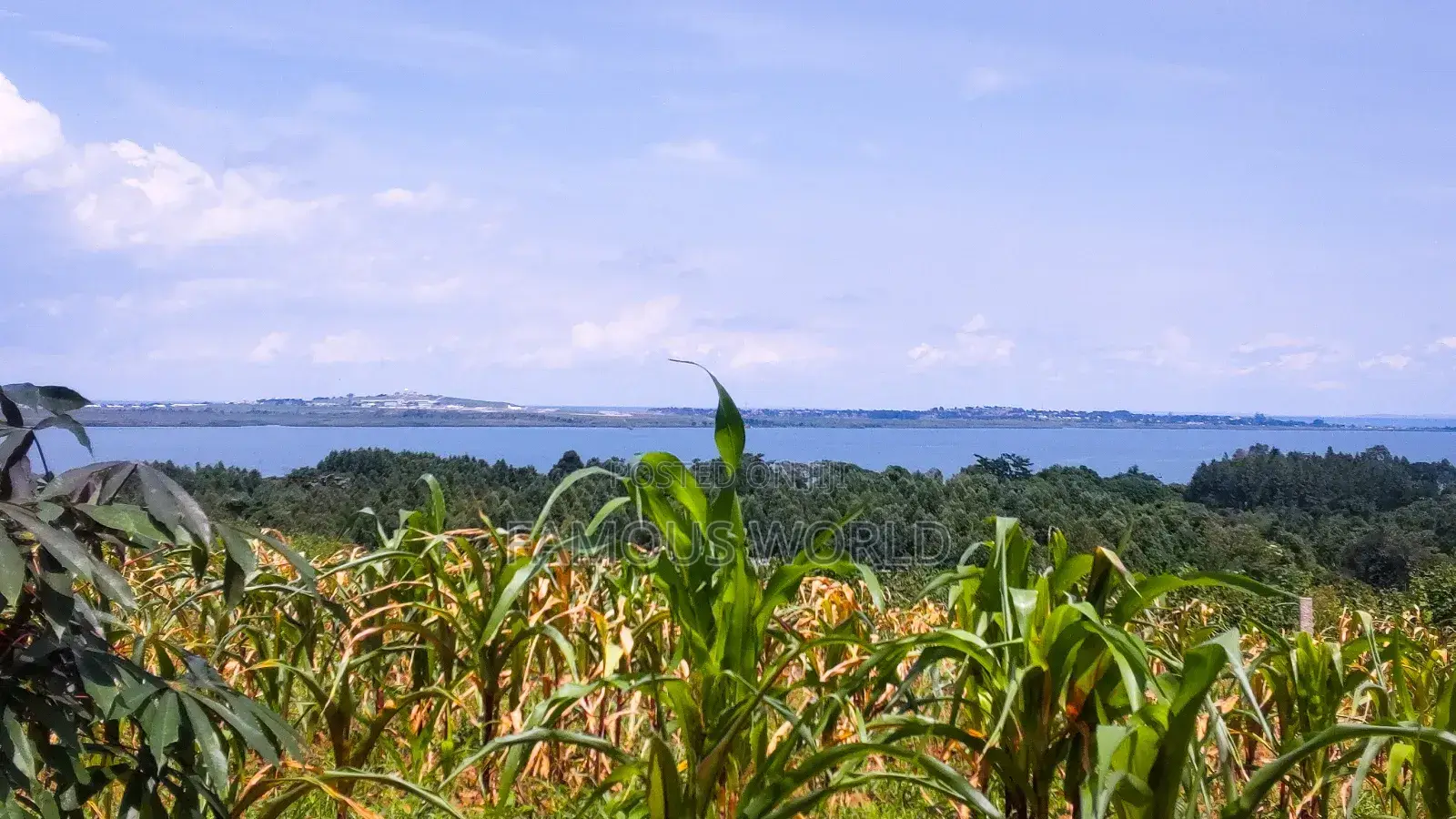 Entebbe Airport View Buwaya in Kasanje