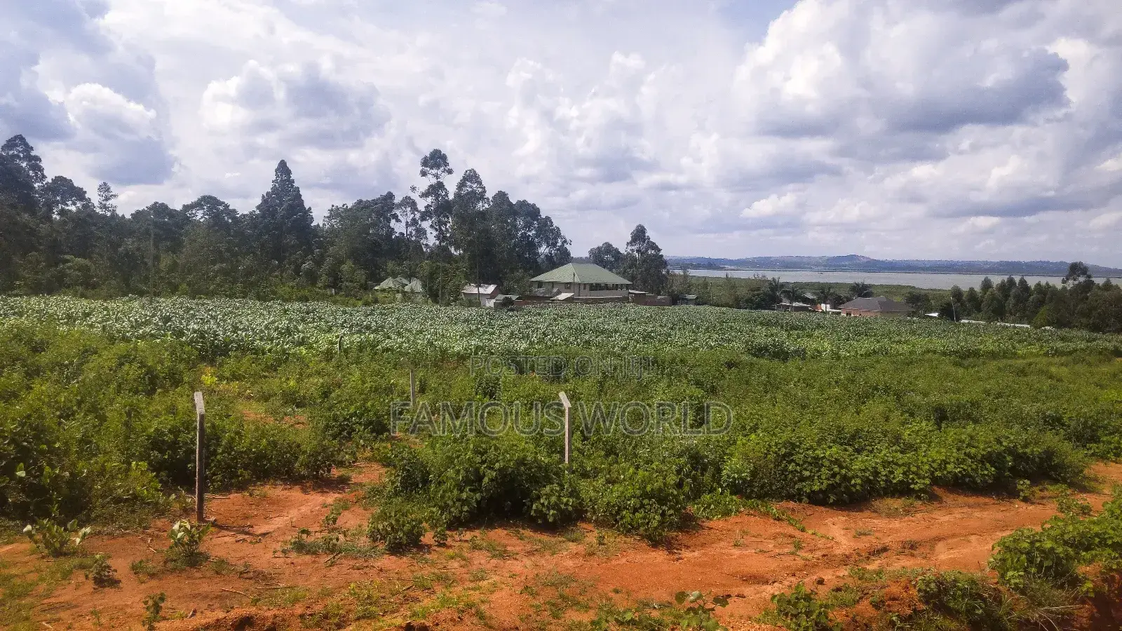 Entebbe Buwaya Titled Land on Sale in Kasanje