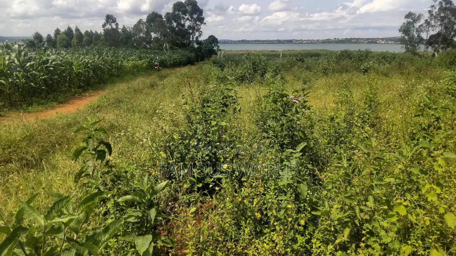 Entebbe Buwaya Titled Land on Sale in Kasanje