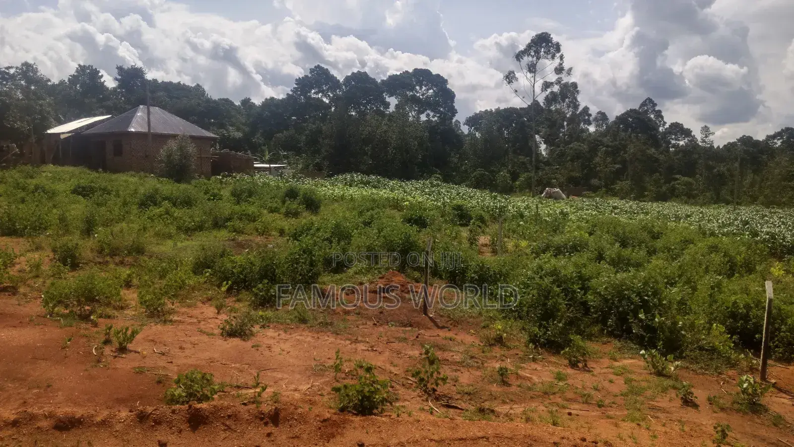 Entebbe Buwaya Titled Land on Sale in Kasanje