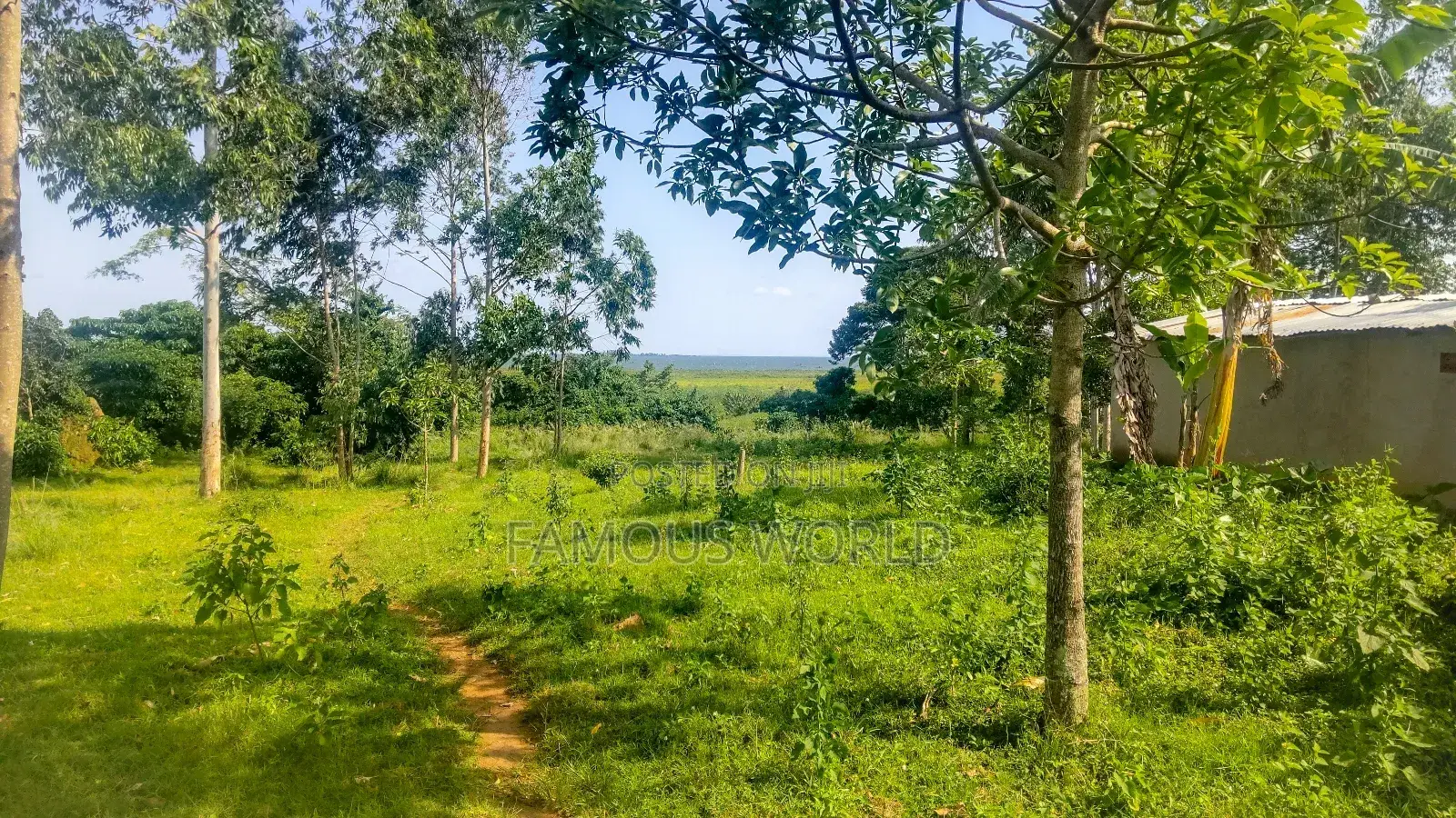 Entebbe Buwaya Plots on Sale in Kasanje