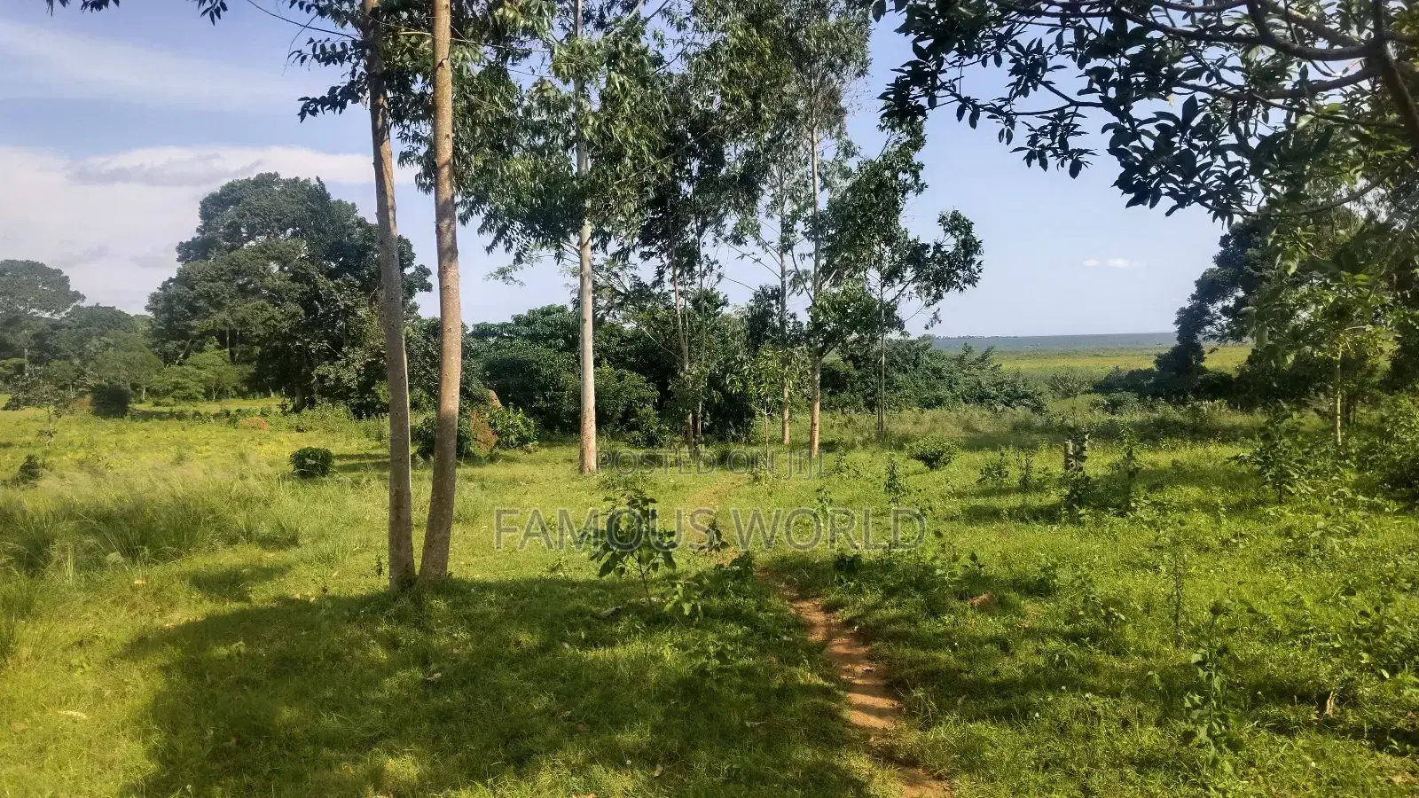 Entebbe Buwaya Plots on Sale in Kasanje