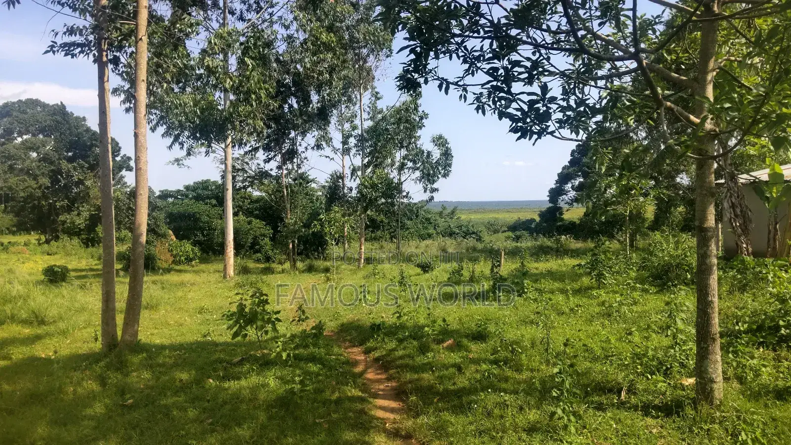 Entebbe Buwaya Plots on Sale in Kasanje