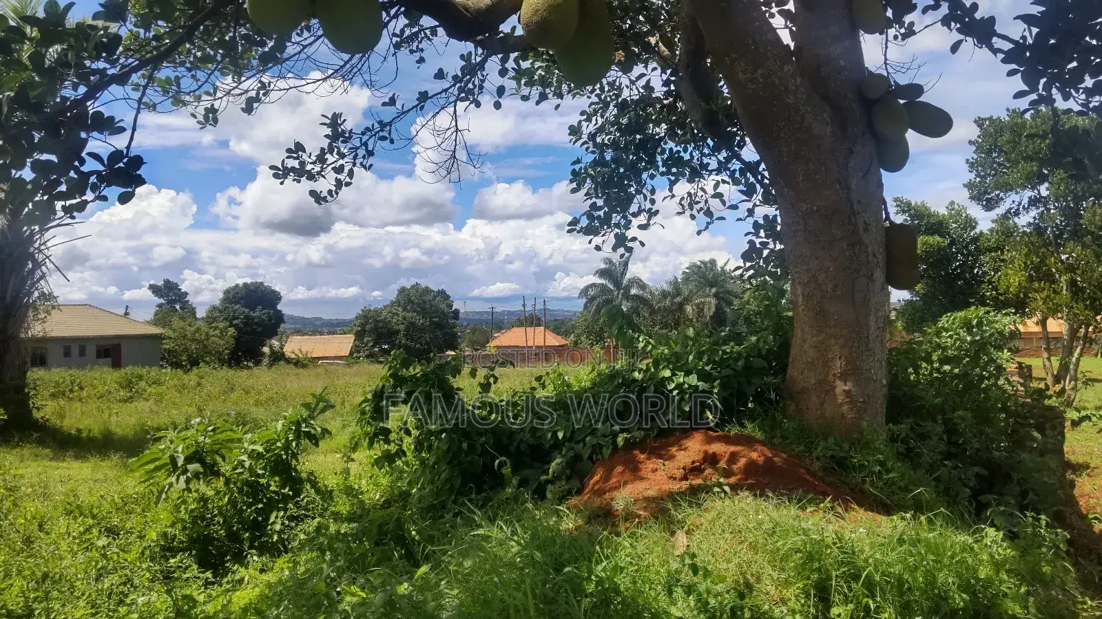 Entebbe Busambaga / Katabi 3.20 Acres of Land on Sale in Katabi
