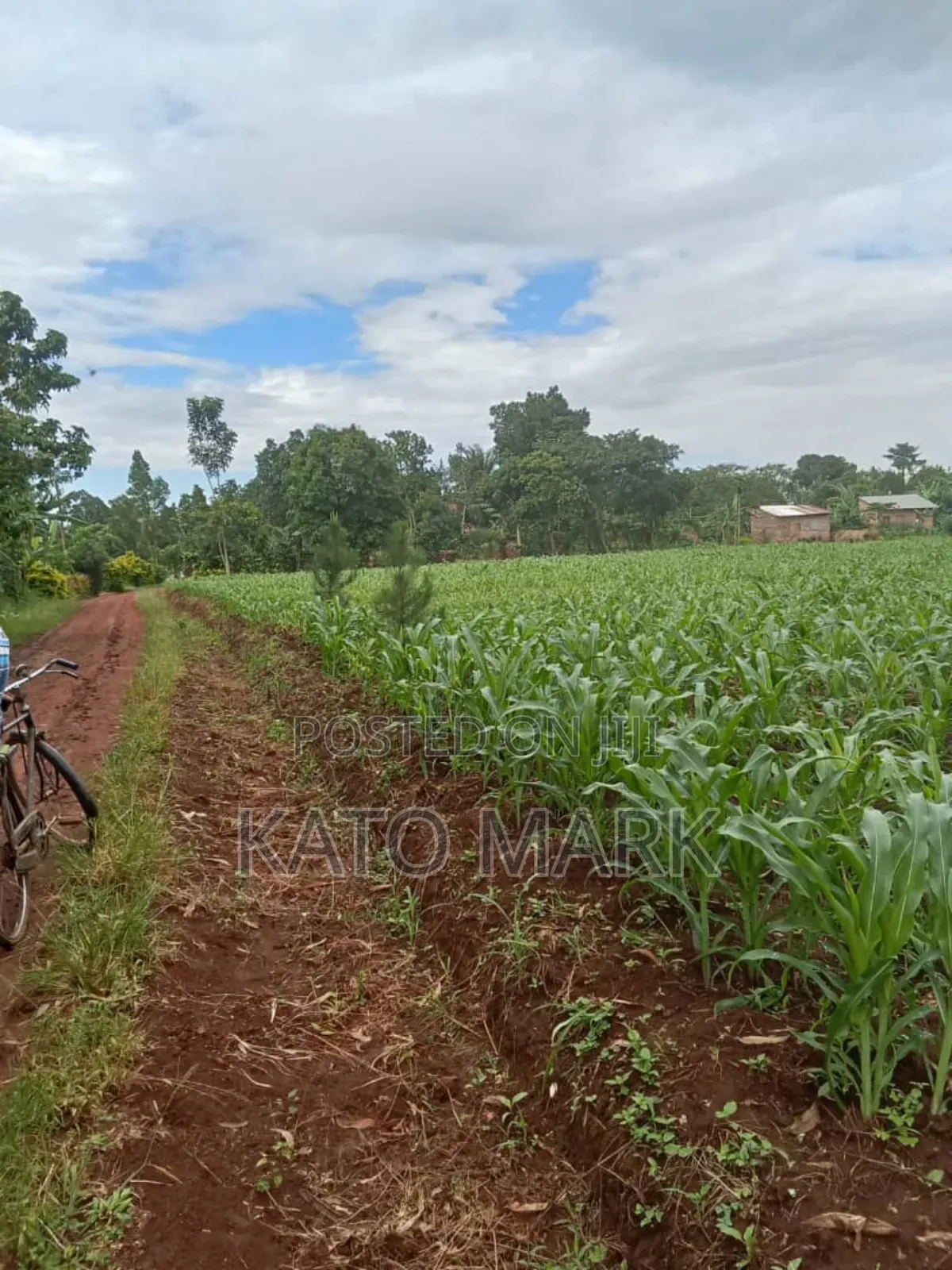 10 Acres for Sale at Mukono Kiyunga in Mukono TC