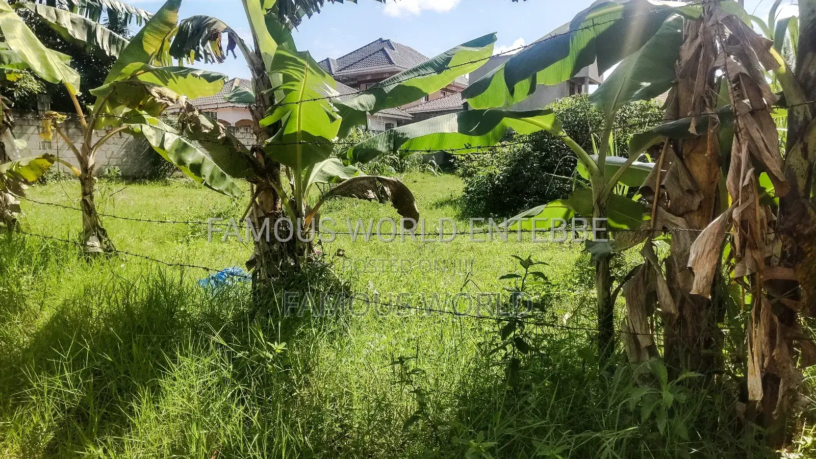 Entebbe Katabi Busambaga Titled Land on Sale in Katabi
