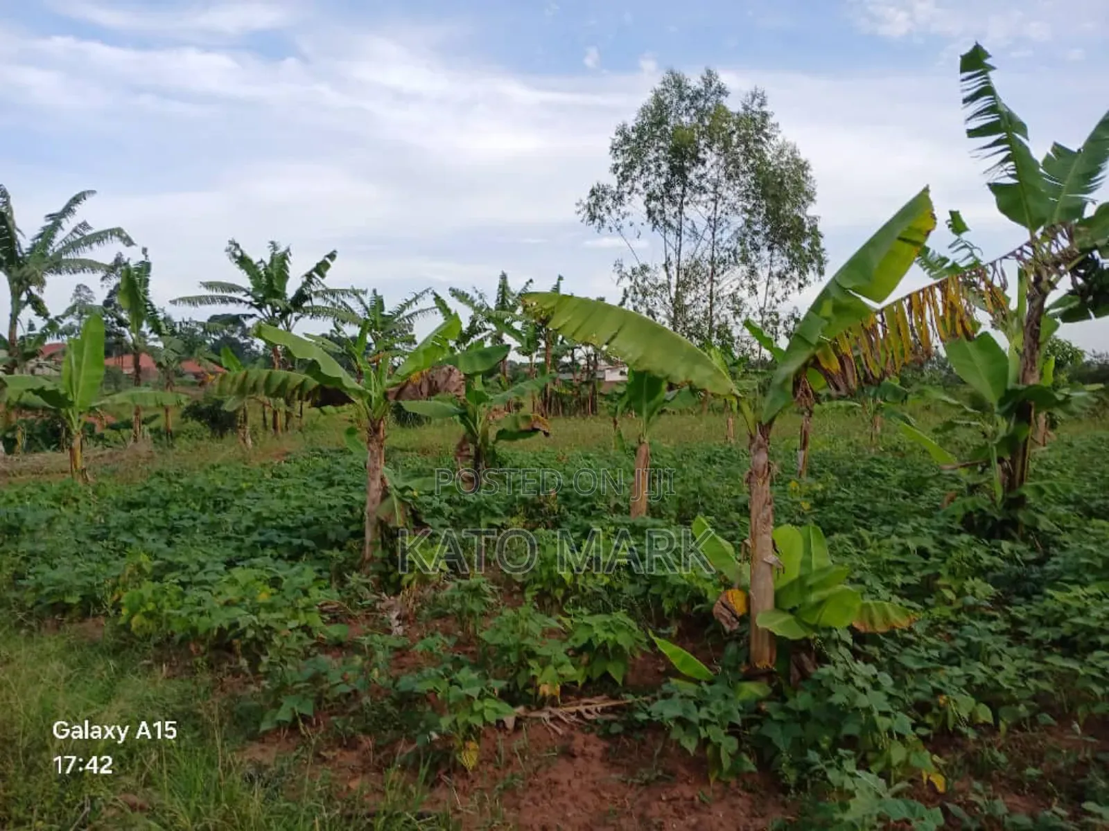 5 Acres for Sale Located at Mukono Nkokonjeru in Mukono TC