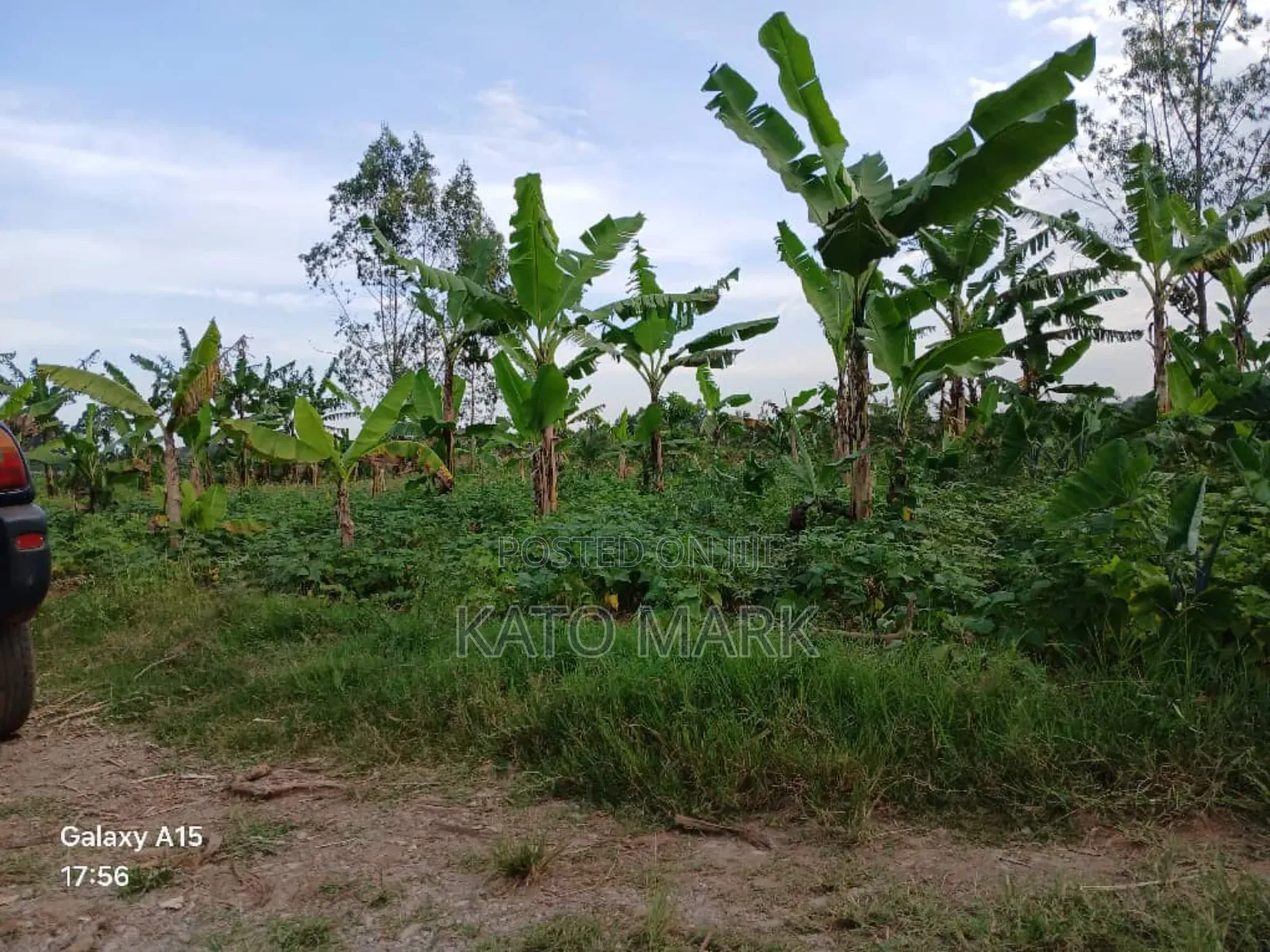 5 Acres for Sale Located at Mukono Nkokonjeru in Mukono TC