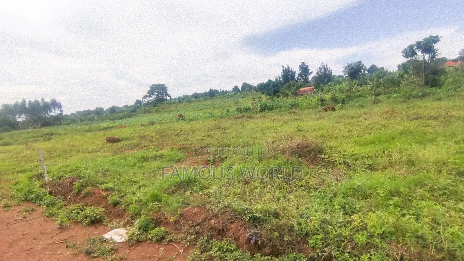 Entebbe Nakawuka Jungo Titled Lands on Sale in Kasanje