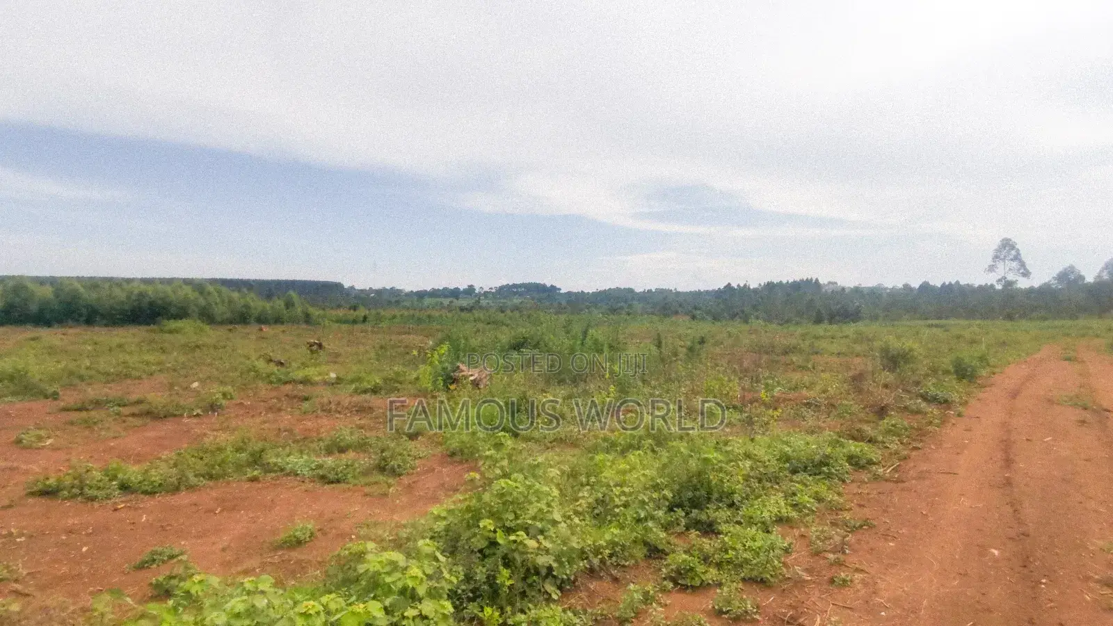 Entebbe Nakawuka Jungo Titled Lands on Sale in Kasanje