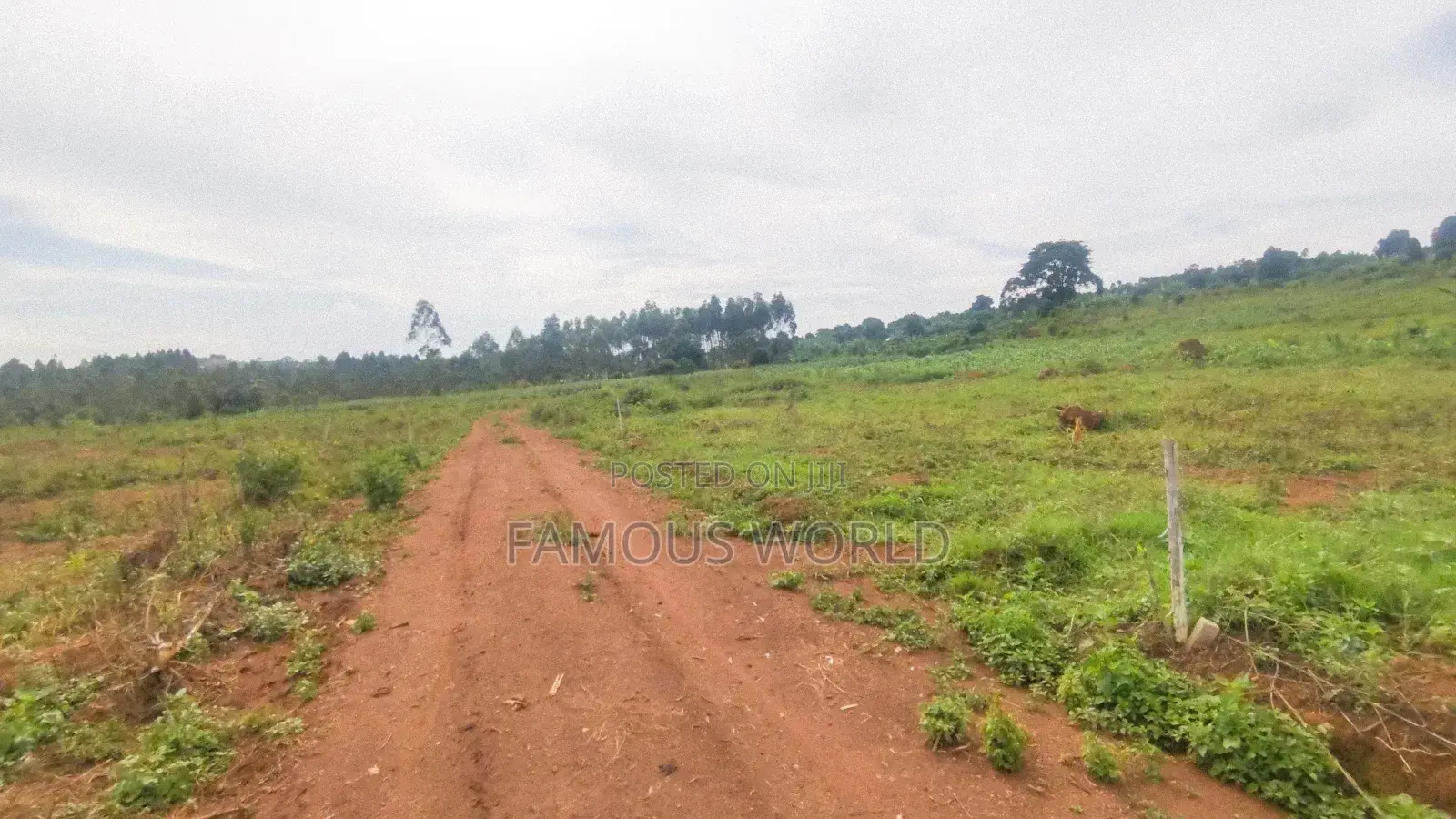 Entebbe Nakawuka Jungo Titled Lands on Sale in Kasanje