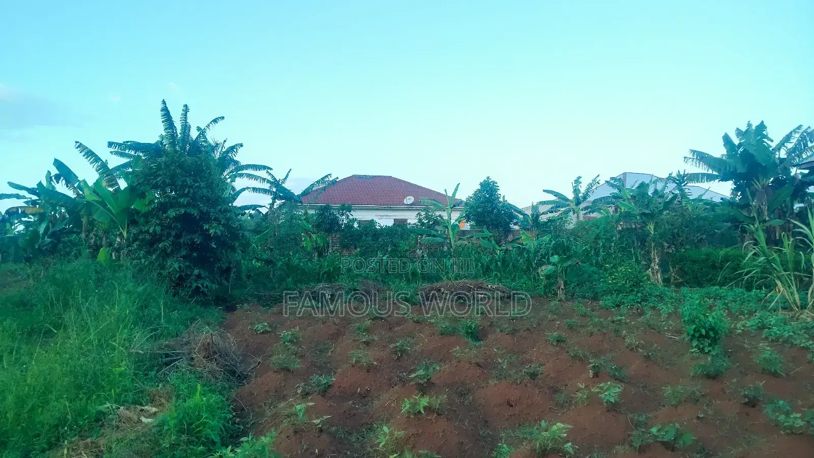 Entebbe Nakawuka Jungo Plot for Sale 100ft by 50 Ft in Kasanje