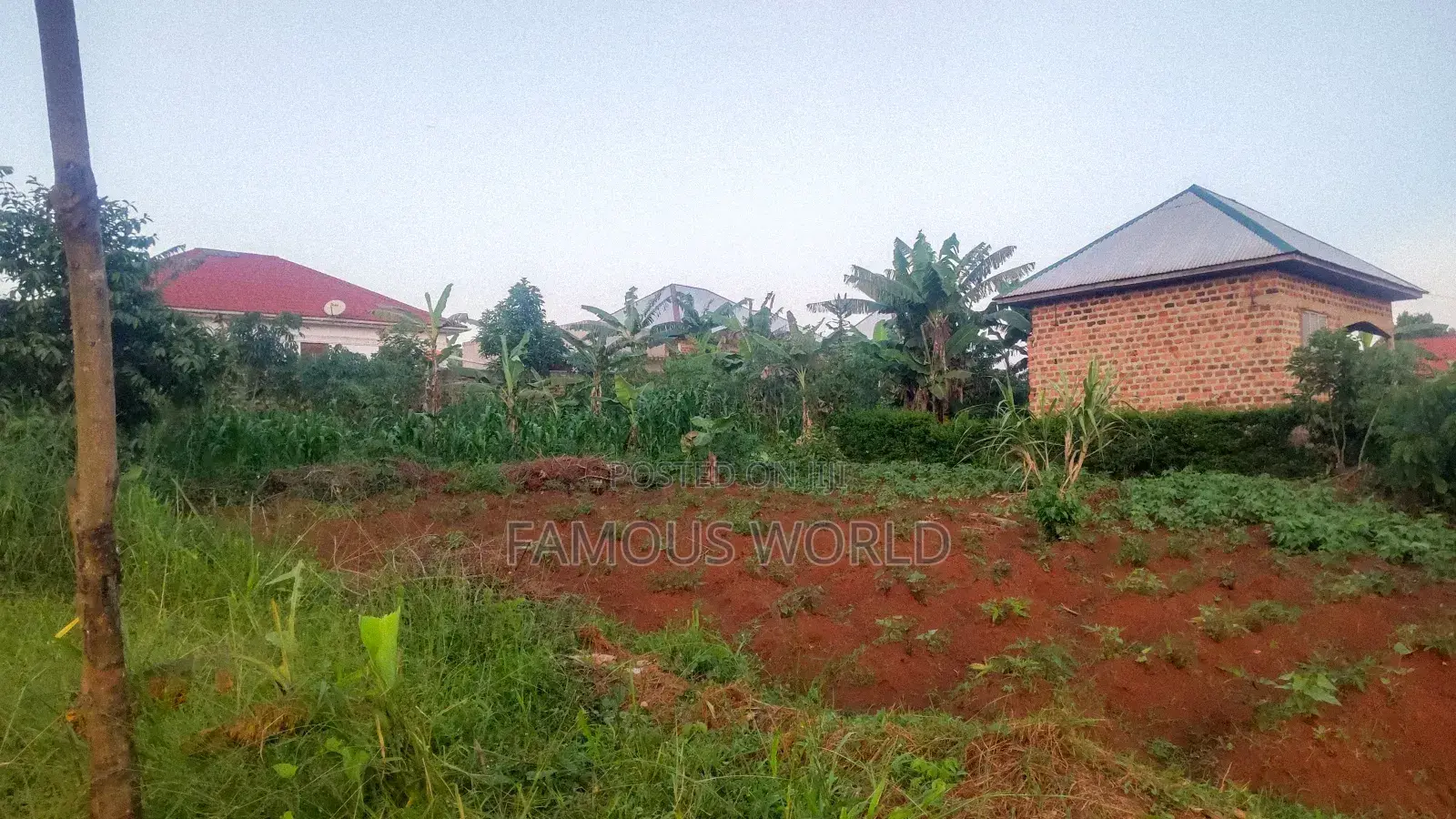 Entebbe Nakawuka Jungo Plot for Sale 100ft by 50 Ft in Kasanje
