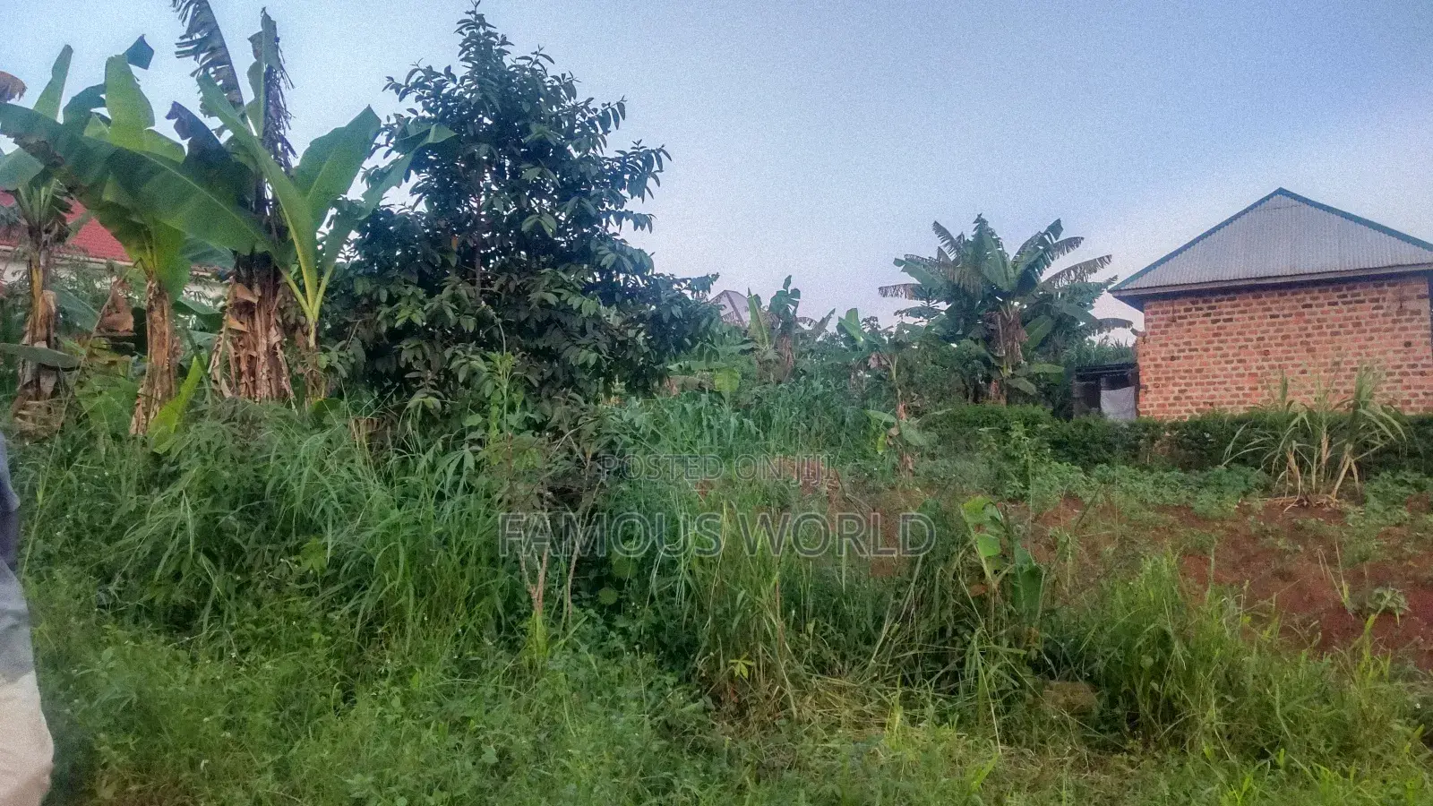 Entebbe Nakawuka Jungo Plot for Sale 100ft by 50 Ft in Kasanje