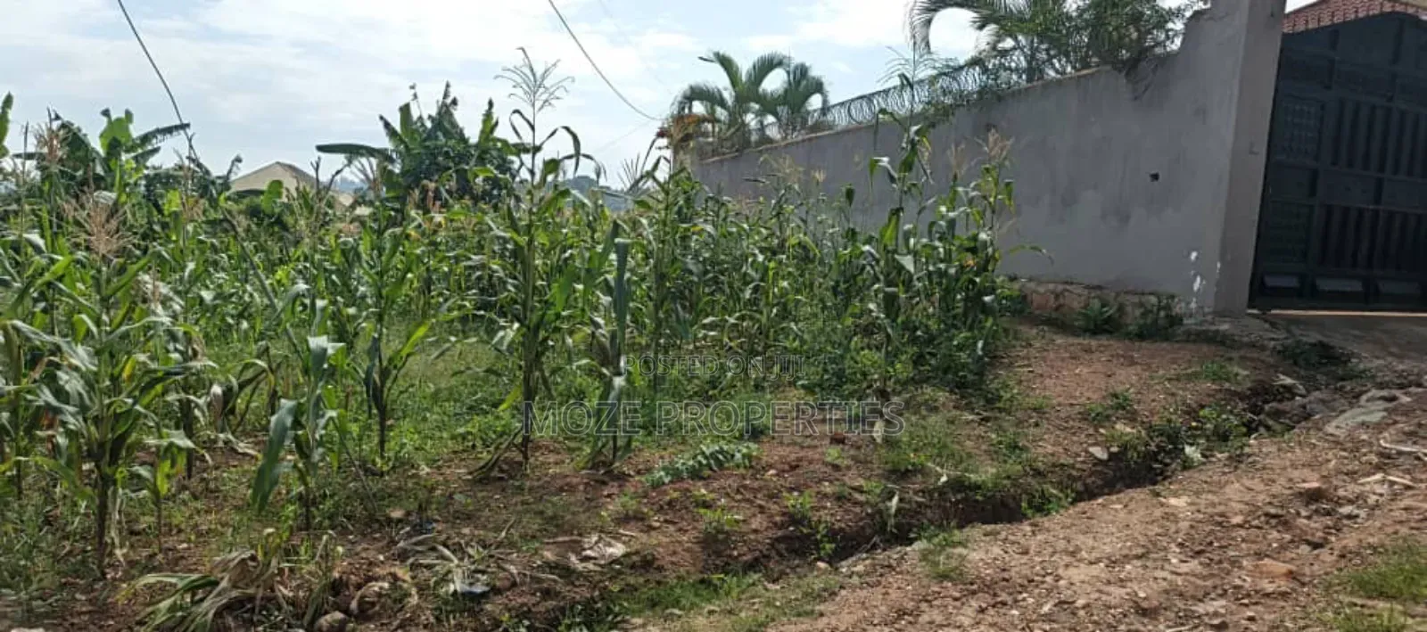50x100 Plot for Sale in Sonde Hill View Estate. in Central Division