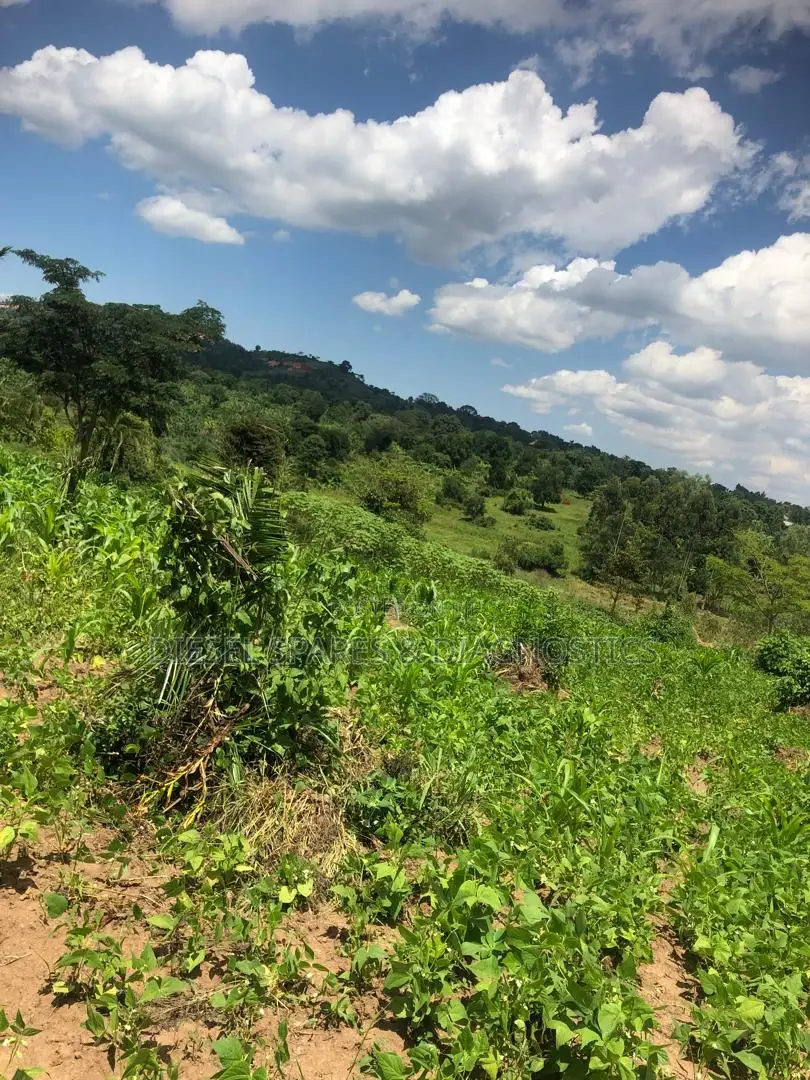 1 Acre for Sale in Kalule-Buvuma After Bombo in Luwero / Luwero