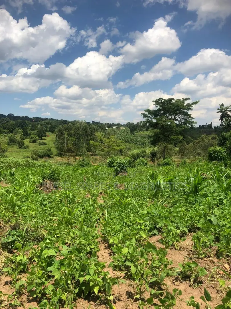 1 Acre for Sale in Kalule-Buvuma After Bombo in Luwero / Luwero