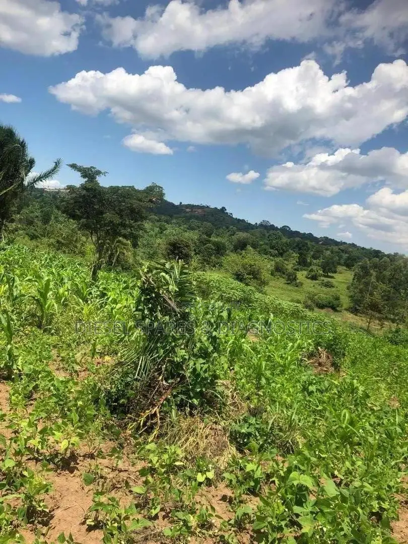1 Acre for Sale in Kalule-Buvuma After Bombo in Luwero / Luwero