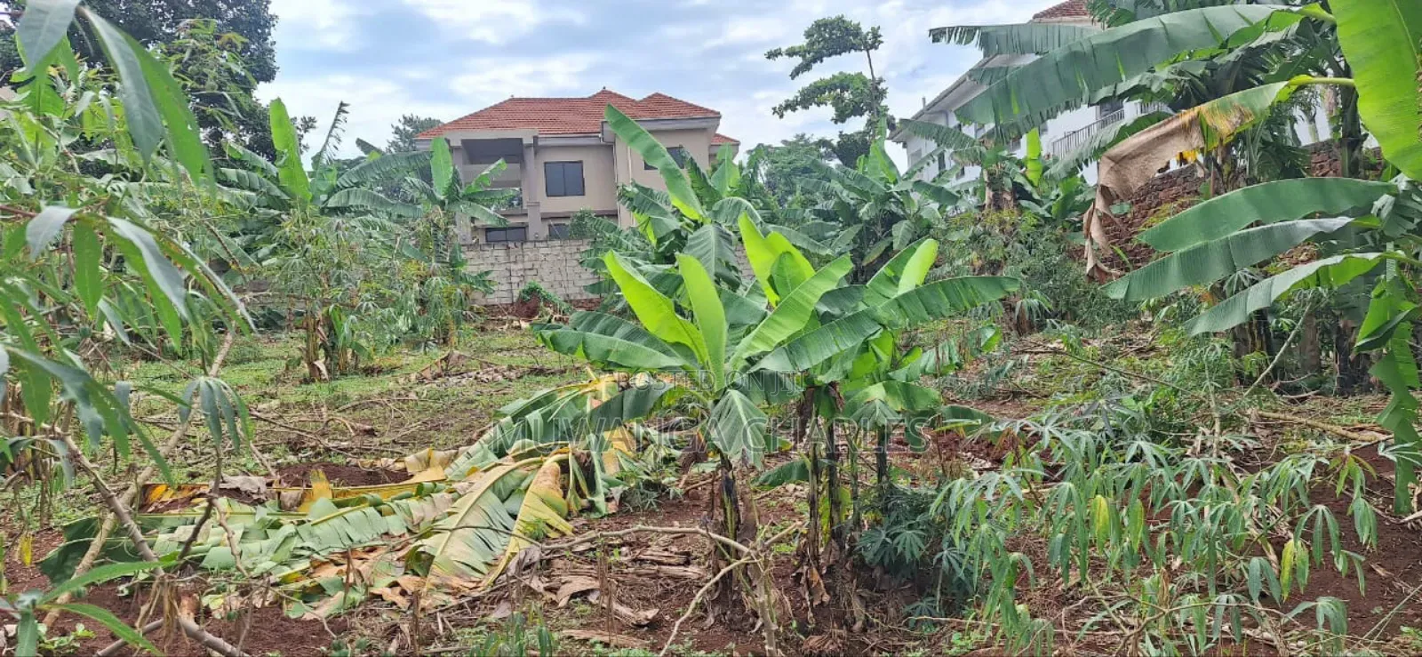 Plot for Sale in Buwaate in Kira