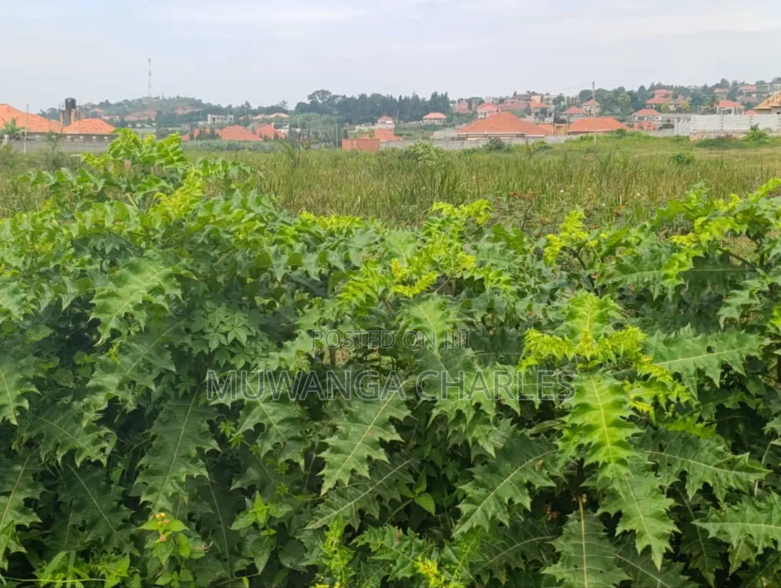Plot on Sale in Kyanja Kungu in Division A