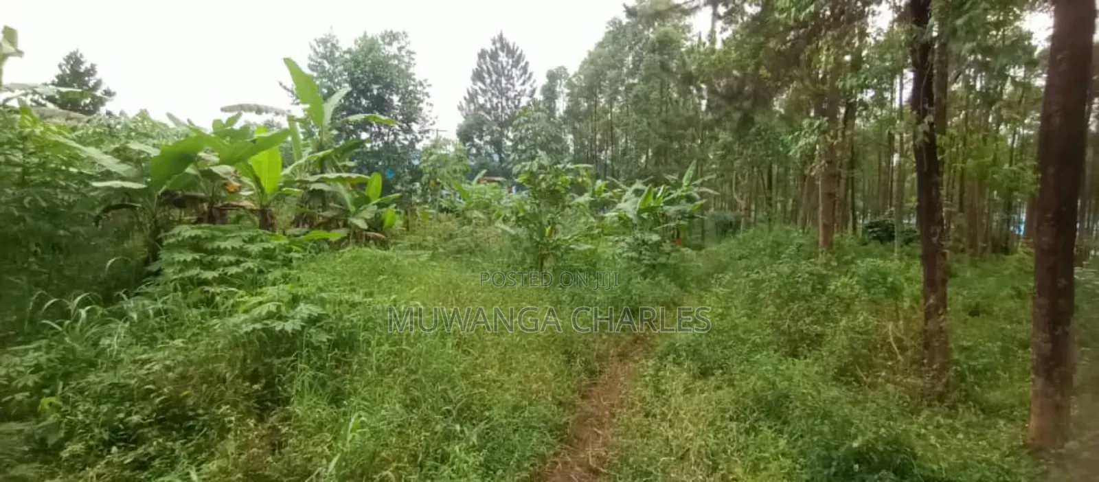 Land for Sale in Luwero in Butuntumula