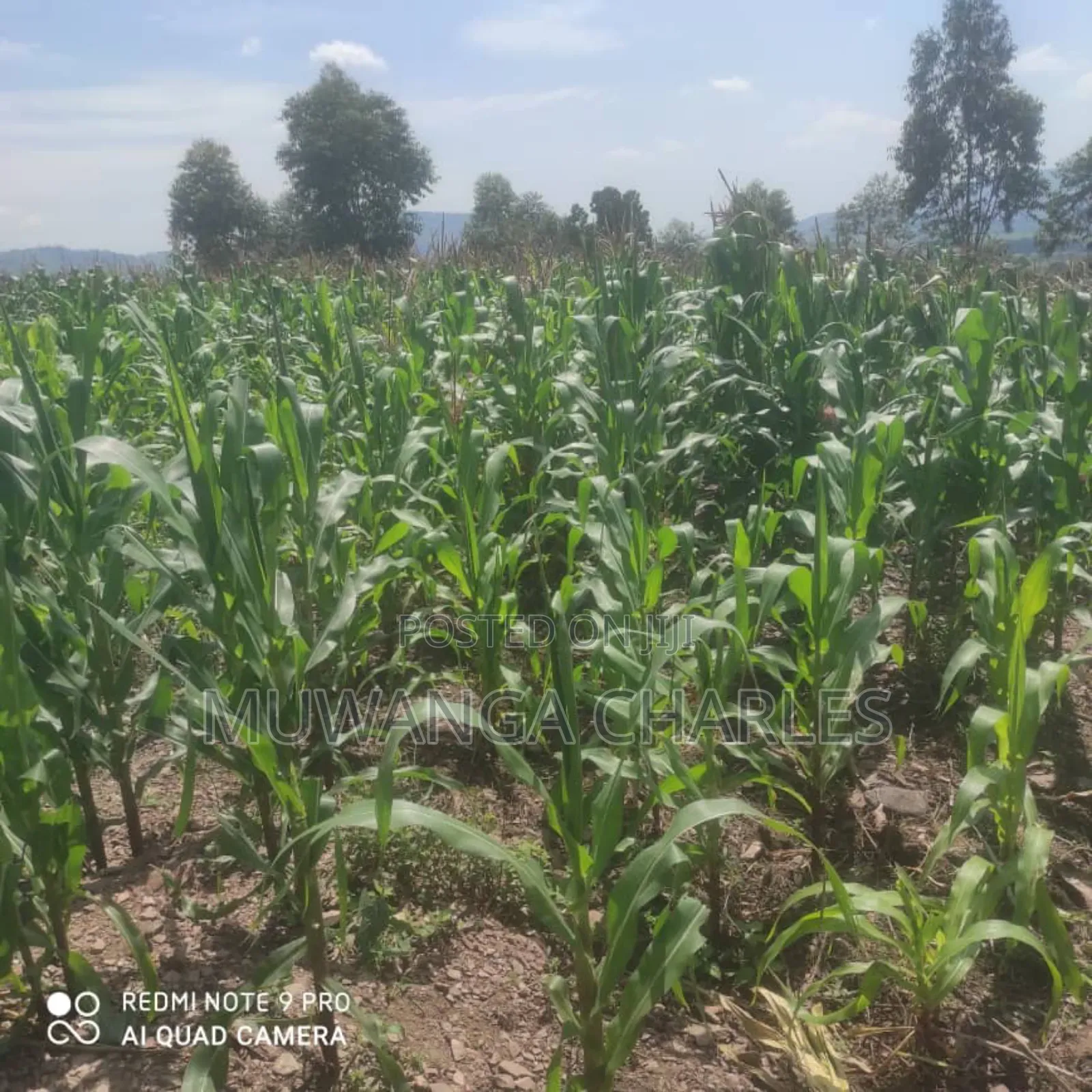 5acres for Sale in Bombo Road Kakerenge in Division B