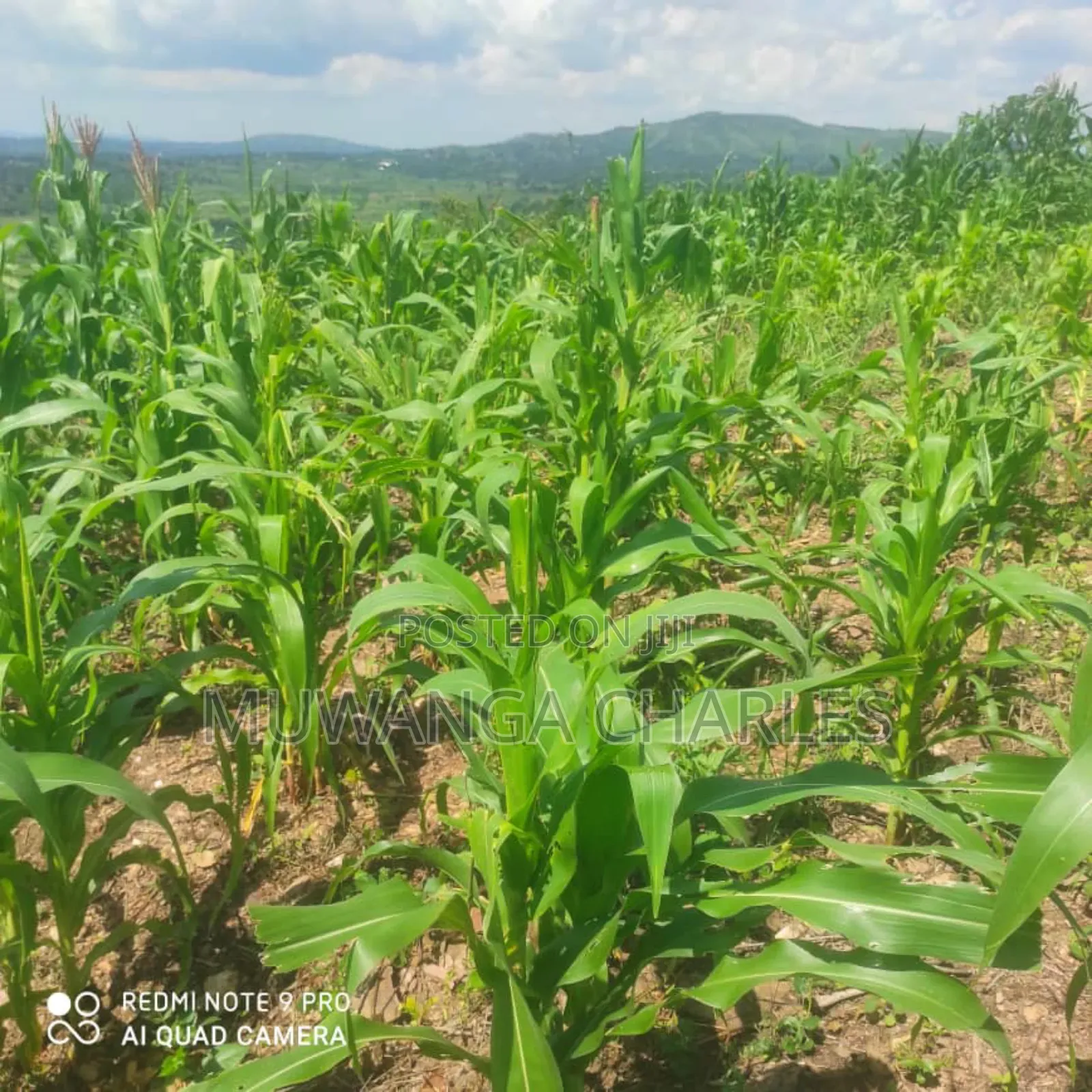 5acres for Sale in Bombo Road Kakerenge in Division B