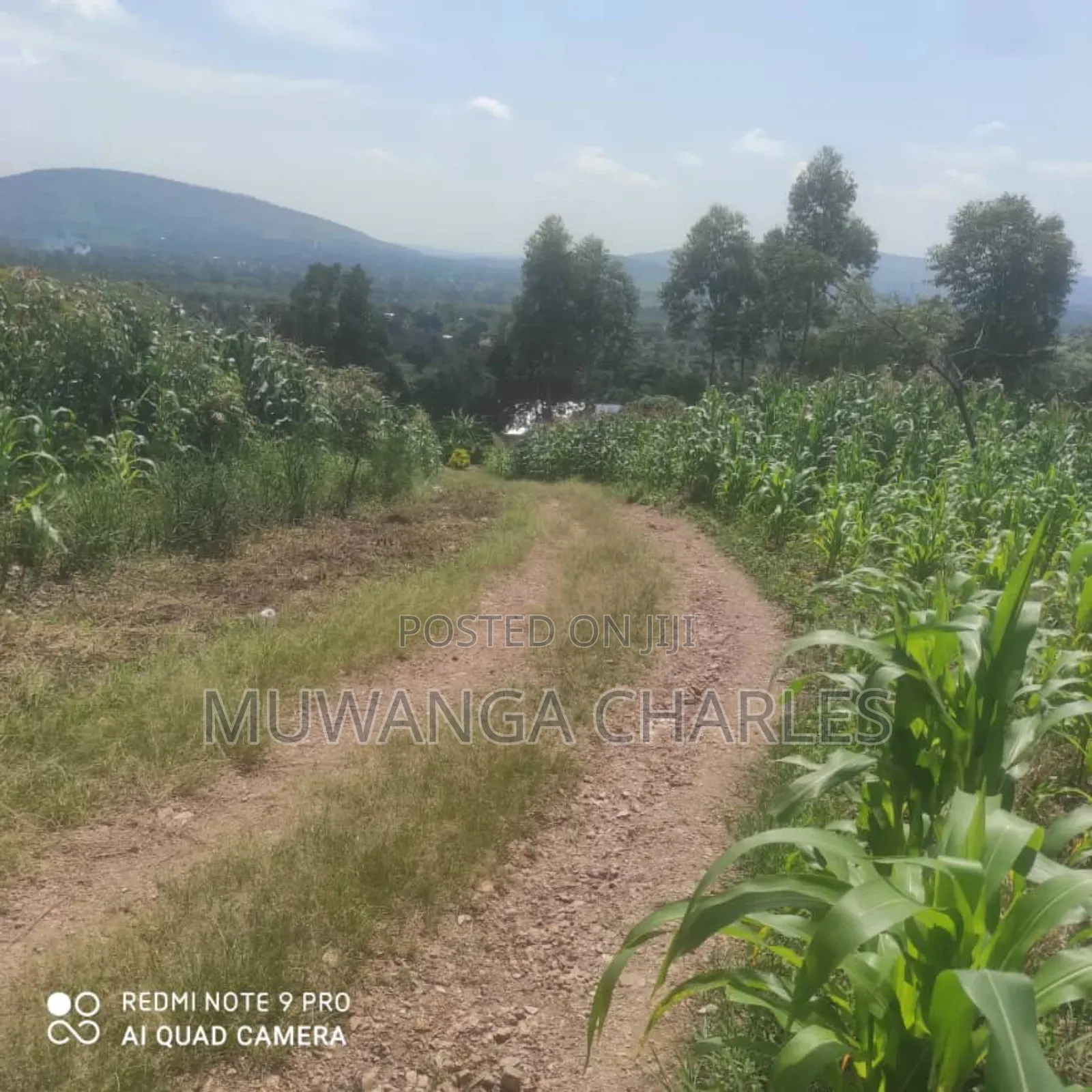 5acres for Sale in Bombo Road Migadde in Division B