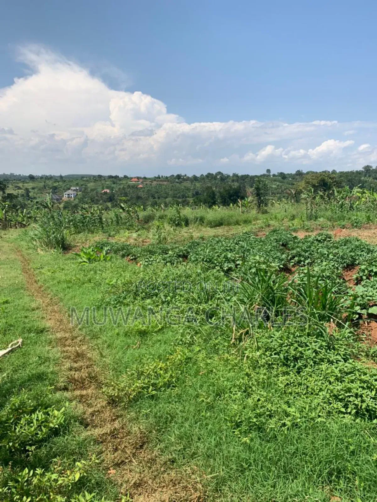 5acres for Sale in Bombo Road Migadde in Division B
