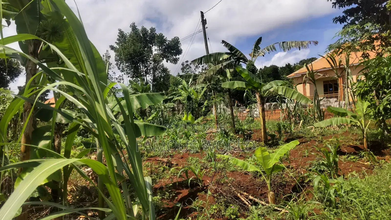 Entebbe Kabaale B Titled Land 100ft by 50 Ft on Tarmac Road in Katabi