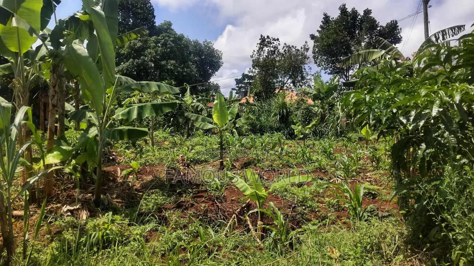 Entebbe Kabaale B Titled Land 100ft by 50 Ft on Tarmac Road in Katabi