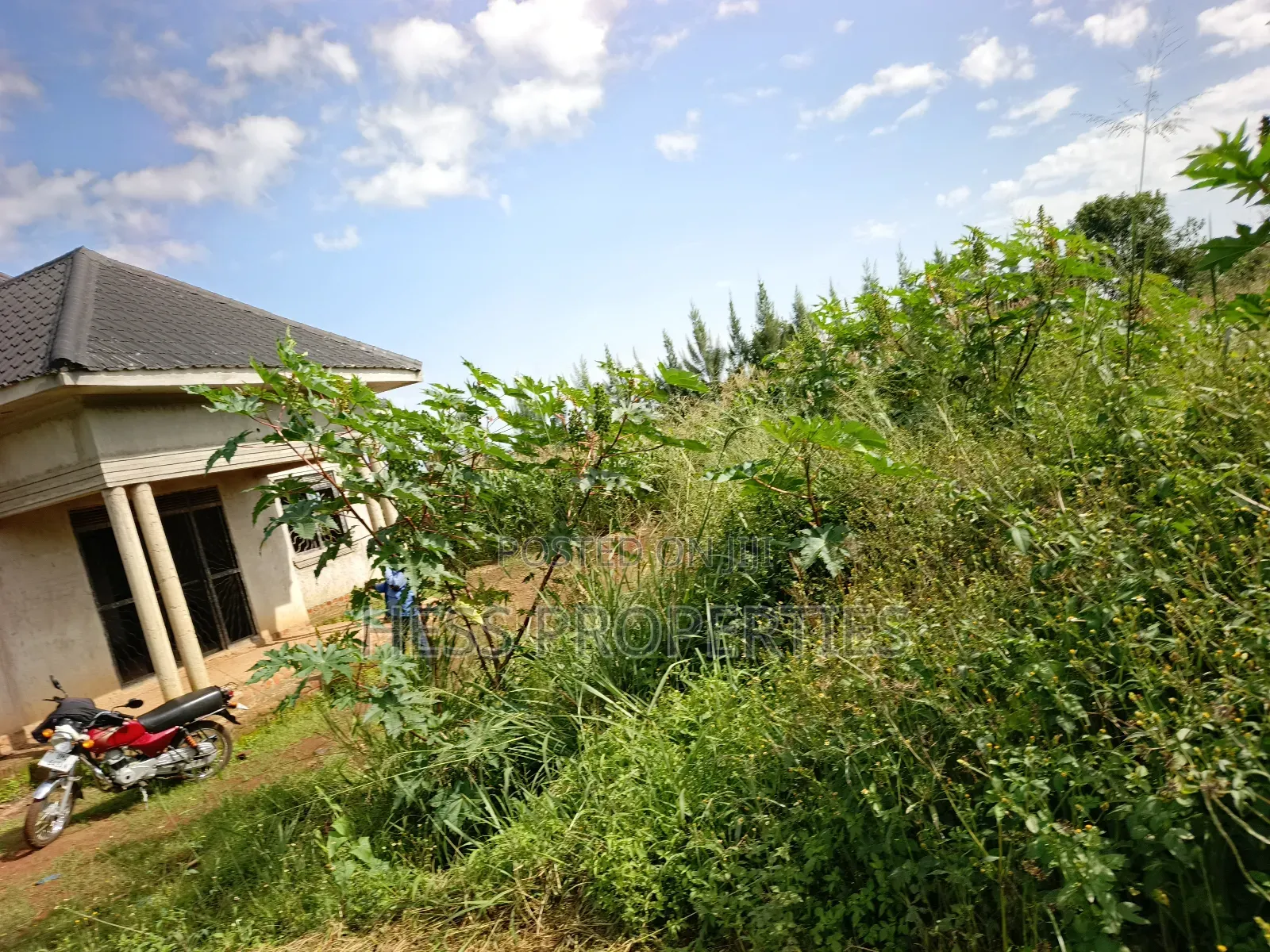 43acres of Land on Sale Located in Kyenjojo District in Kyenjojo