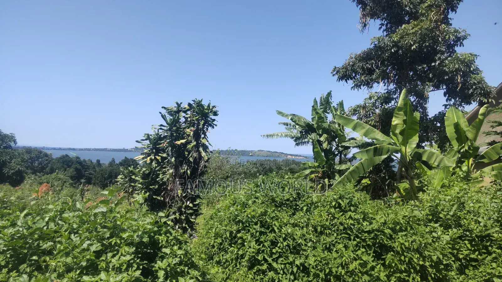 Nkumba Lake View Plot for Sale in Katabi