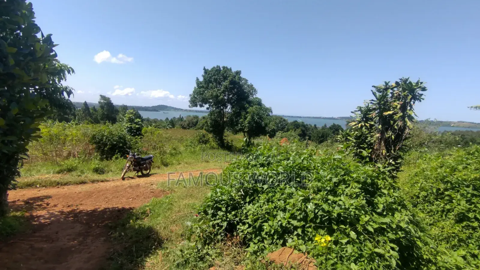 Nkumba Lake View Plot for Sale in Katabi