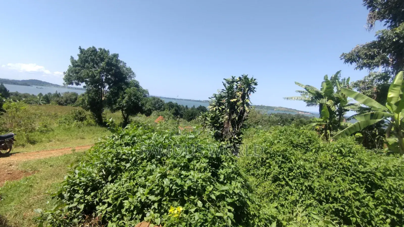 Nkumba Lake View Plot for Sale in Katabi