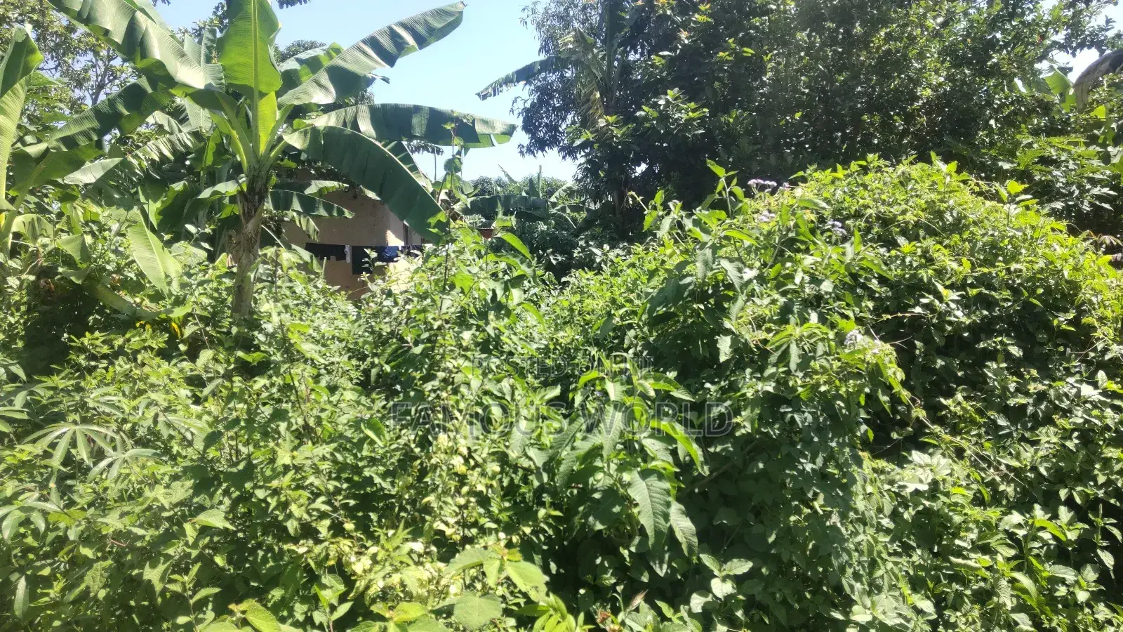 Nkumba Lake View Plot for Sale in Katabi