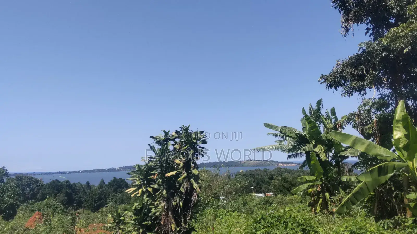 Nkumba Lake View Plot for Sale in Katabi