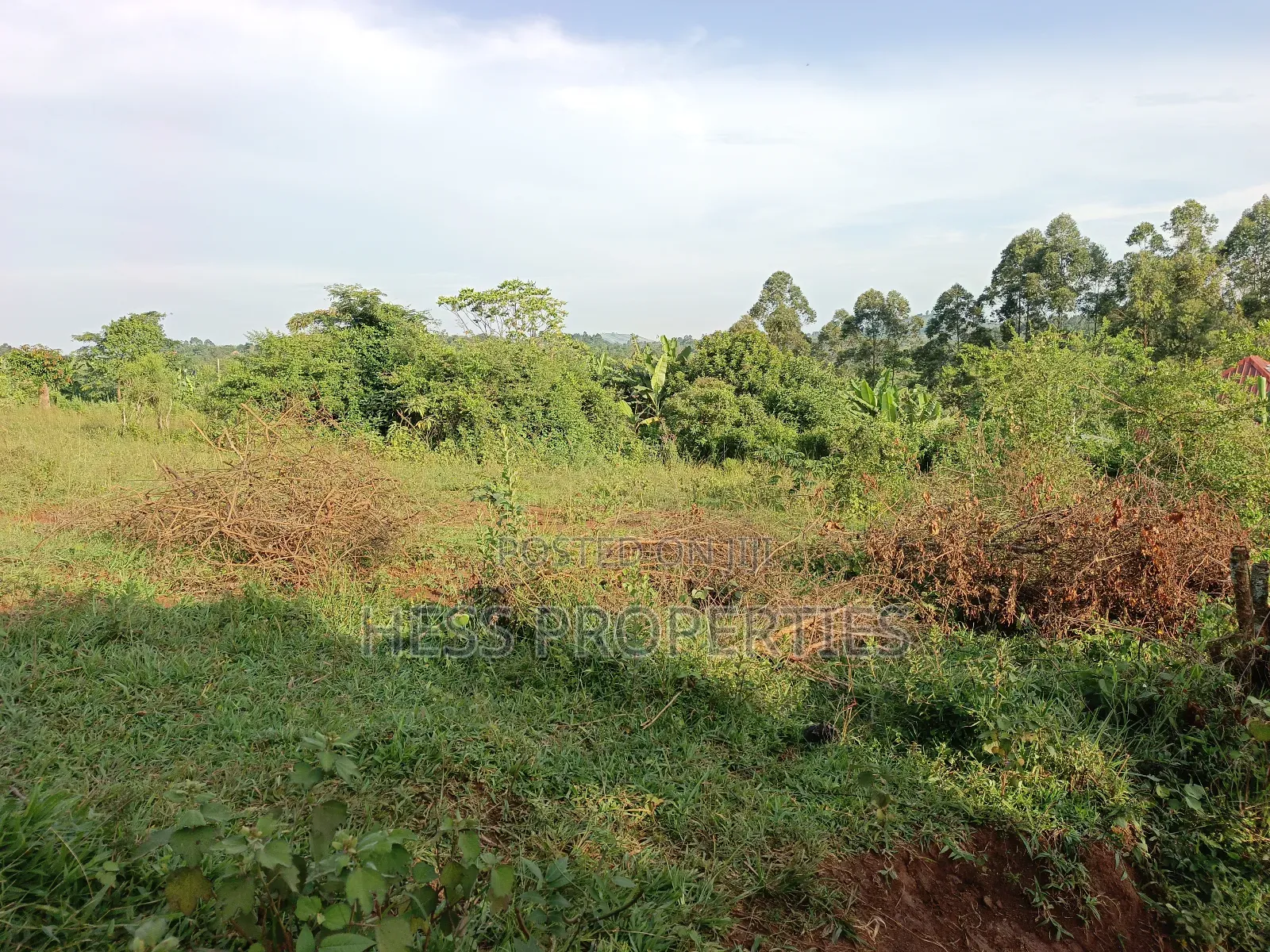 Commercial Plot on Sale in Kyenjojo