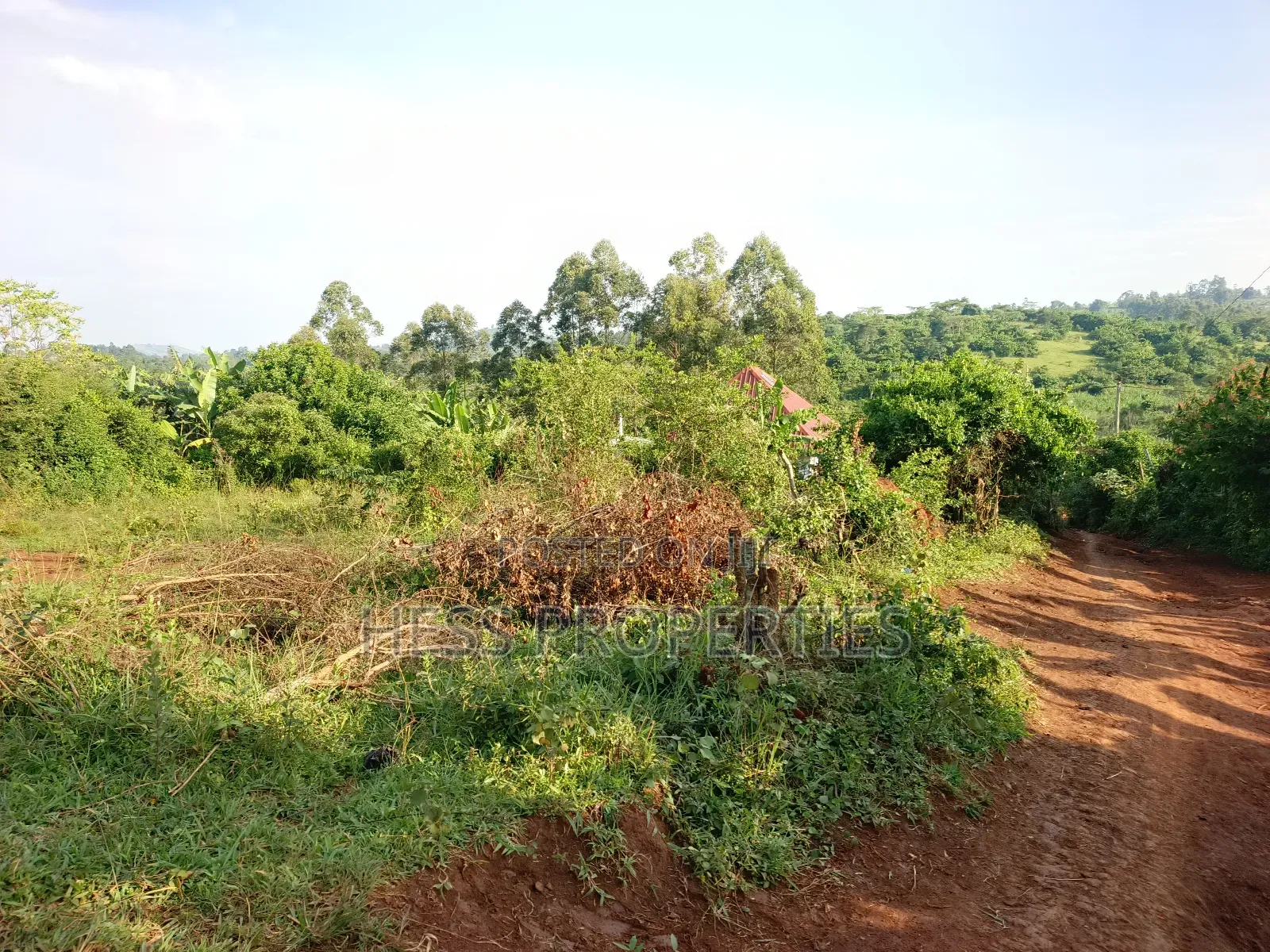 Commercial Plot on Sale in Kyenjojo