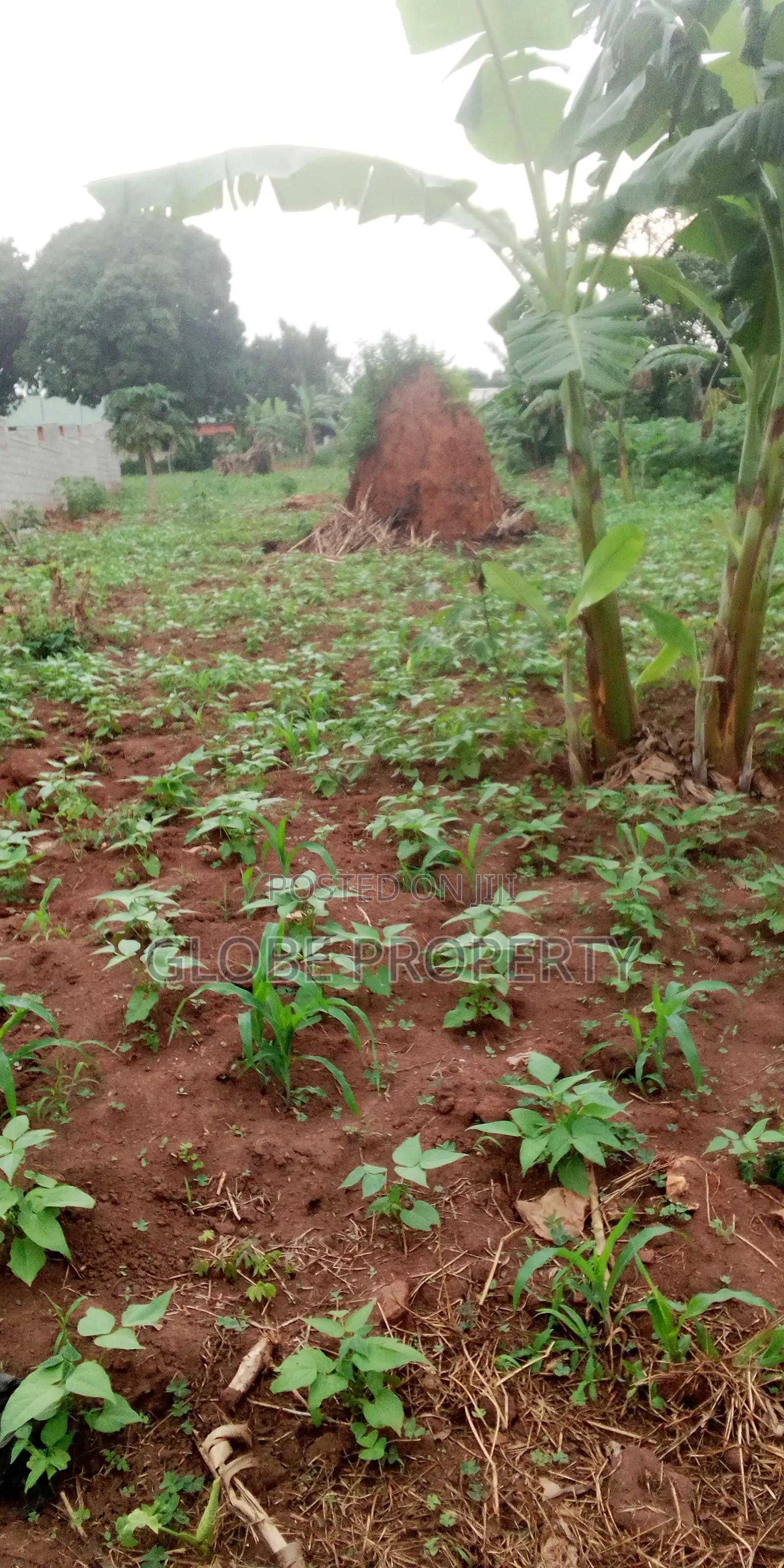Plot for Sale in Gayaza Nakwero in Kira